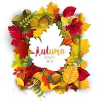 Autumn background with Autumn color theme leaves vector