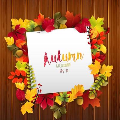 Paper design with autumn leaves and acorns on wood background.Vector