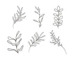 hand drawn decorative leaves vector