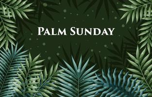 Palm Sunday Concept with Palm Leaves Frame Background vector