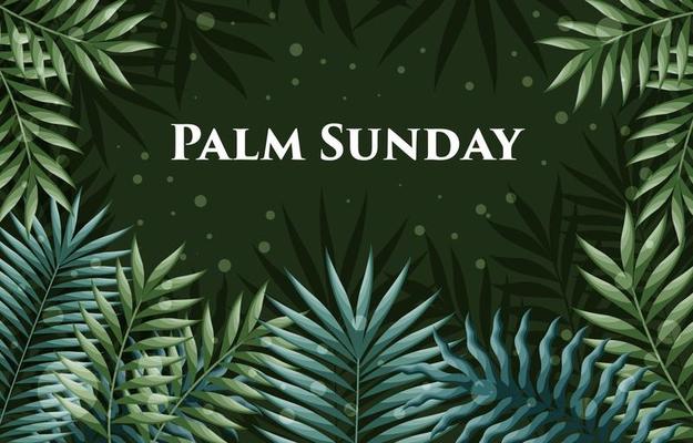 Palm Sunday Concept with Palm Leaves Frame Background