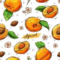 Apricots colorful seamless pattern. Vector hand-drawn background.