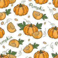 Pumpkin seamless pattern on white background. The decor menu. Vector background.