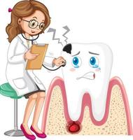 Dentist examining tooth decay on white background vector