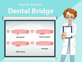 infografía de humano en puente dental vector
