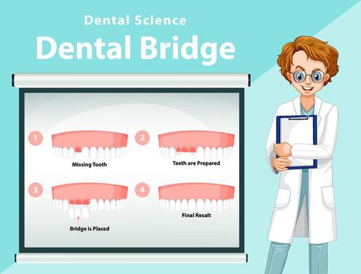 Infographic of human in dental bridge