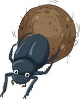 A dung beetle cartoon character vector