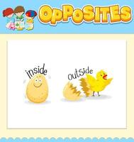 Opposite words for inside and outside vector