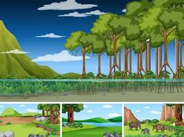 cuatro escenas con grandes árboles en el bosque. vector