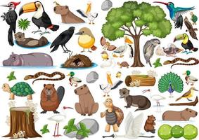 colección de diferentes tipos de animales salvajes vector