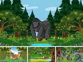 Scenes with wild animals in the forest vector