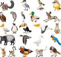 Different kinds of animals collection vector