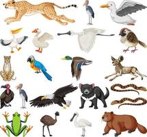 Different kinds of animals collection vector