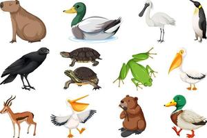 conjunto de diferentes tipos de animales