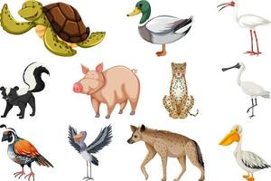 Set of different kinds of animals vector