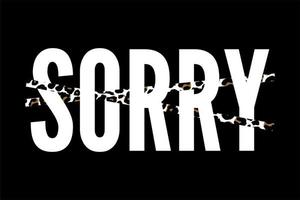 slogan Sorry Cool phrase graphic vector Print Fashion lettering calligraphy