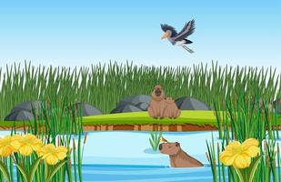 Capybara living in the nature pond vector