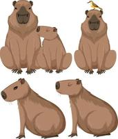 Set of stickers, badge with cute cartoon capybaras. Yellow background.  Vector illustration. 20248901 Vector Art at Vecteezy