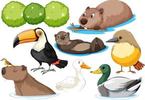 Different kinds of wild animals collection vector