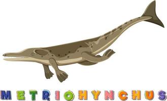 wordcard de dinosaurio para metriohynchus vector