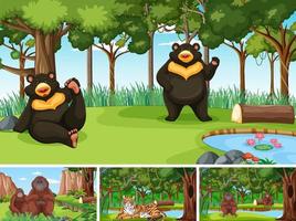 Scene with wild animals in the forest vector