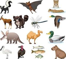 Different kinds of animals collection vector