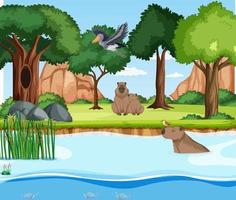 Scene with wild animals in the forest vector