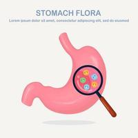 Stomach flora. Digestive system, tract with cute good bacteria, virus, microorganisms, probiotics isolated on white background. Internal human organs. Medical, biology concept. Vector flat design