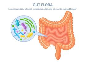 Intestines, guts flora isolated on white background. Digestive tract with bacteria, virus. Colon, bowel. Vector cartoon design