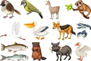 colección de diferentes tipos de animales vector