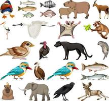 colección de diferentes tipos de animales vector