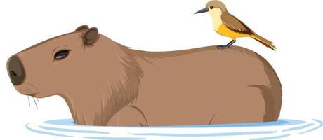 Capybara with a bird in cartoon style vector