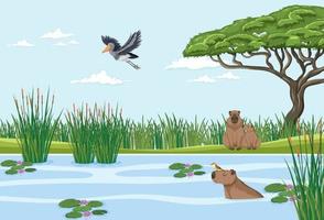 Wetland forest scene with capybara vector