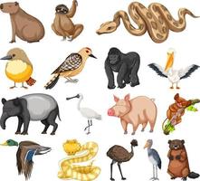 Different kinds of animals collection vector