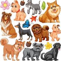 Different types of dogs vector