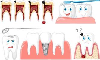 Set of all types of teeth on white background vector