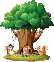 A squirrel play on island vector