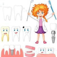 Set of all types of teeth on white background vector