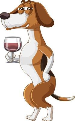 A Happy dog drinking wine on white background