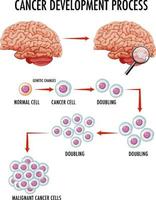 diagrama que muestra el proceso de desarrollo del cáncer vector