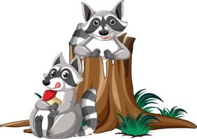 Two raccoons by the log vector