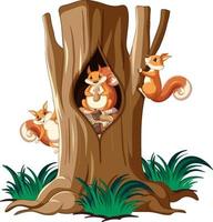 Three squirrels climbing tree vector