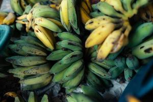 cultivated banana for processing ,Banana in the hand of the seller photo