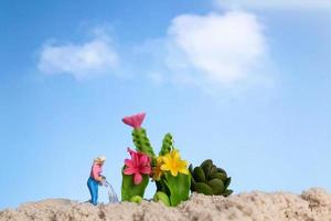 Miniature people gardener working on cactus plants photo
