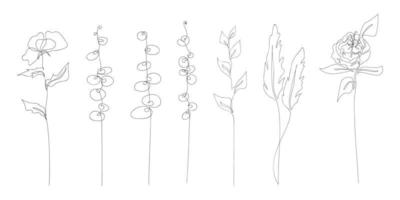 Set of abstract flowers and branches plants drawn by one line. Floral sketch. Continuous line drawing botanical art. Decoration elements for card invitation, certificate design. Vector illustration.