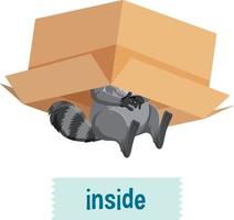 English prepositions with raccoon inside boxes vector