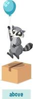 English preposition raccoon float above the box vector