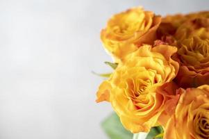 Close up orange yellow rose flowers bouquet with copy space grey background.