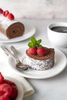 Slice of chocolate roll cake or swiss dessert cake with raspberries. photo