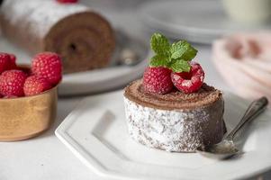Slice of chocolate roll cake or swiss dessert cake with raspberries. photo
